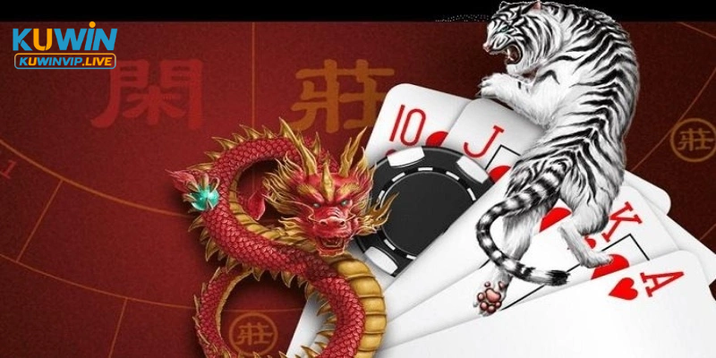 Bí quyết chơi rồng hổ dễ thắng cho người mới
